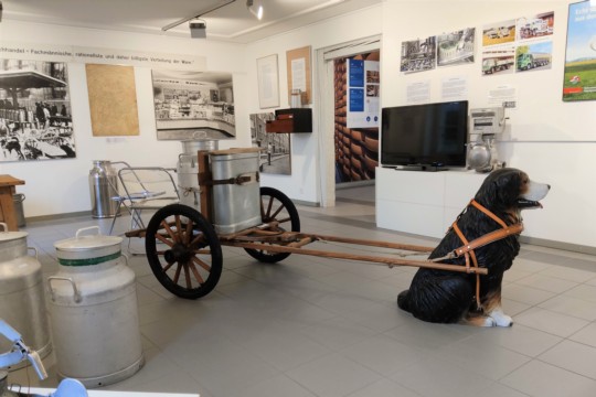 Museum Kiesen Milchtransport 2.jpg